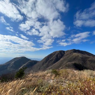 男三瓶と子三瓶