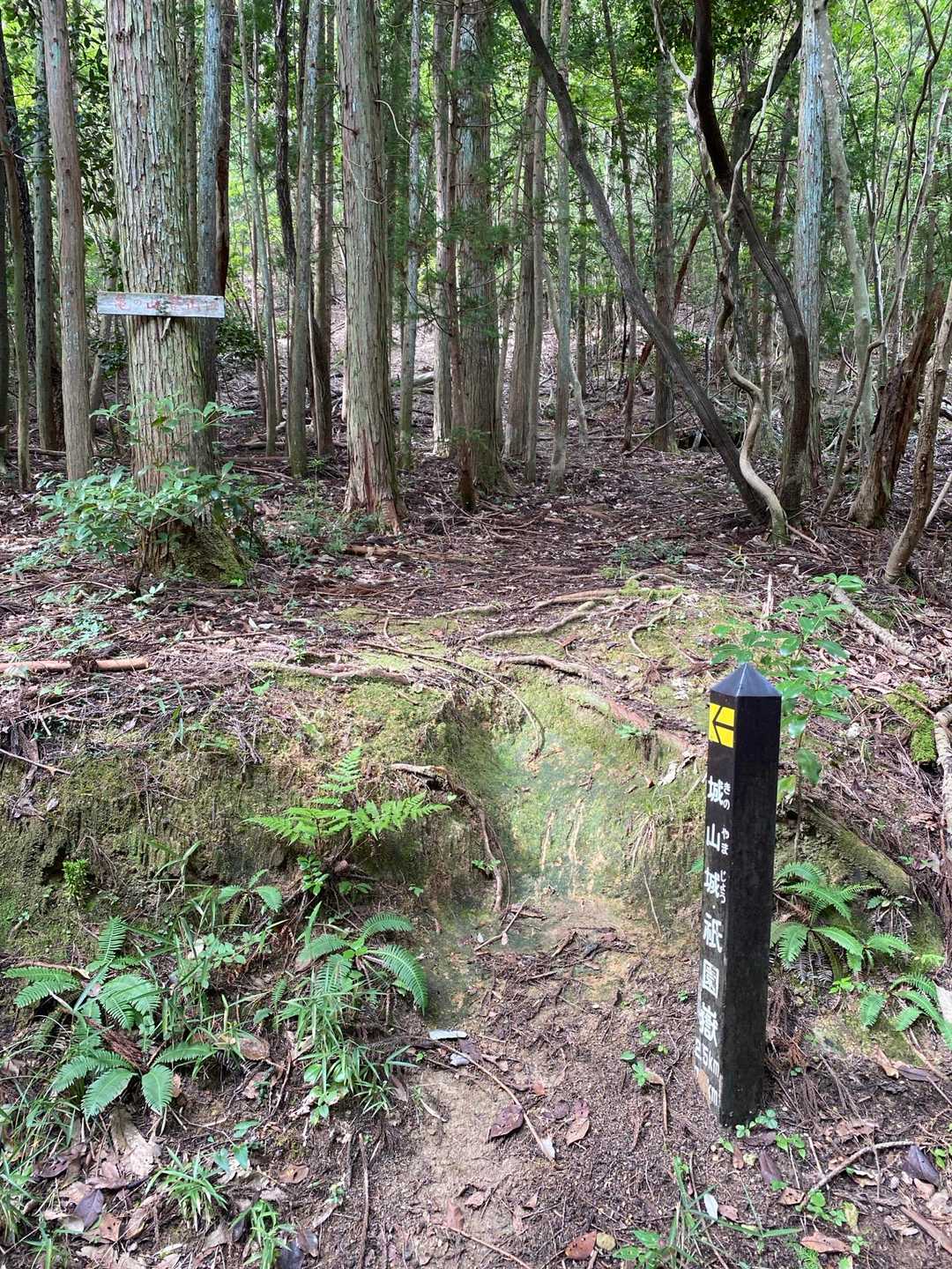 亀山登山口

ここに来るまで、倒木だらけの道を歩いて来ました。
下見に来た時も、かなり迷いました。