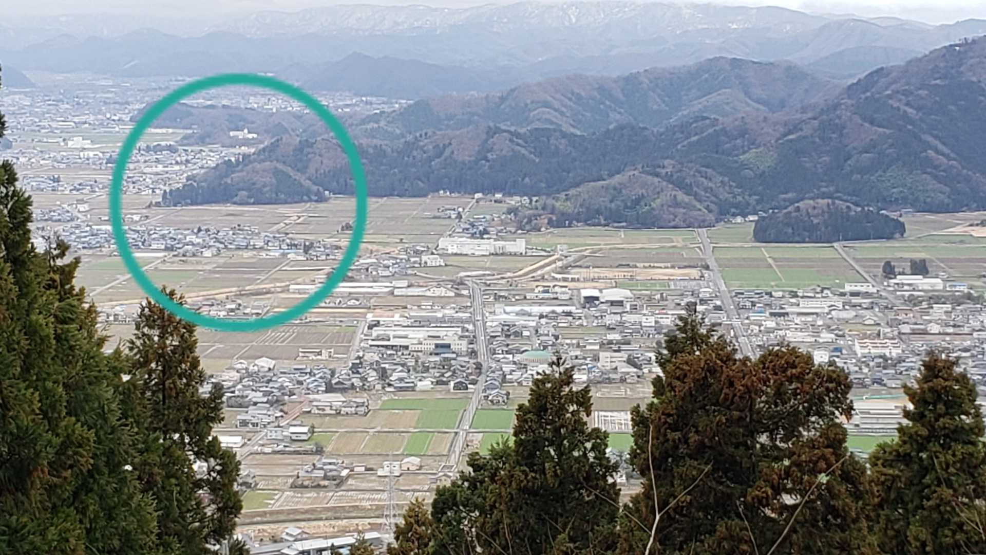 亀山かな🐢