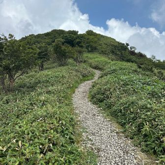 山頂へ。
