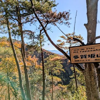 休憩スペースあり
景色も良い🙆