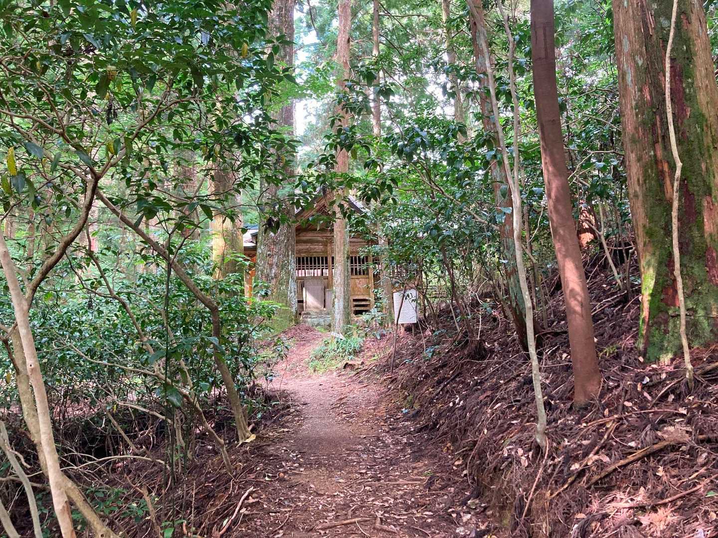 杉原神社-横倉宮 往復コースの写真