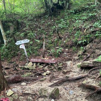 分岐
南木曽岳は左側の時計回りで登るのがルール