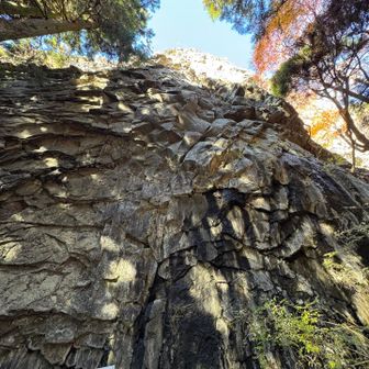屏風岩下から見上げる