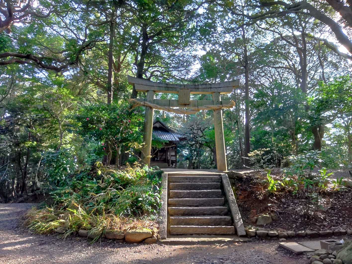 参拝🙏 神社の裏を抜け