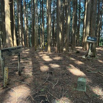 高山から穂積神社までは楽ちん🥾