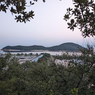 つた島