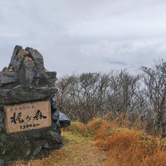 ここも展望いいんだろな