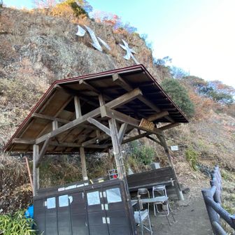 上見てもよし✨✨✨