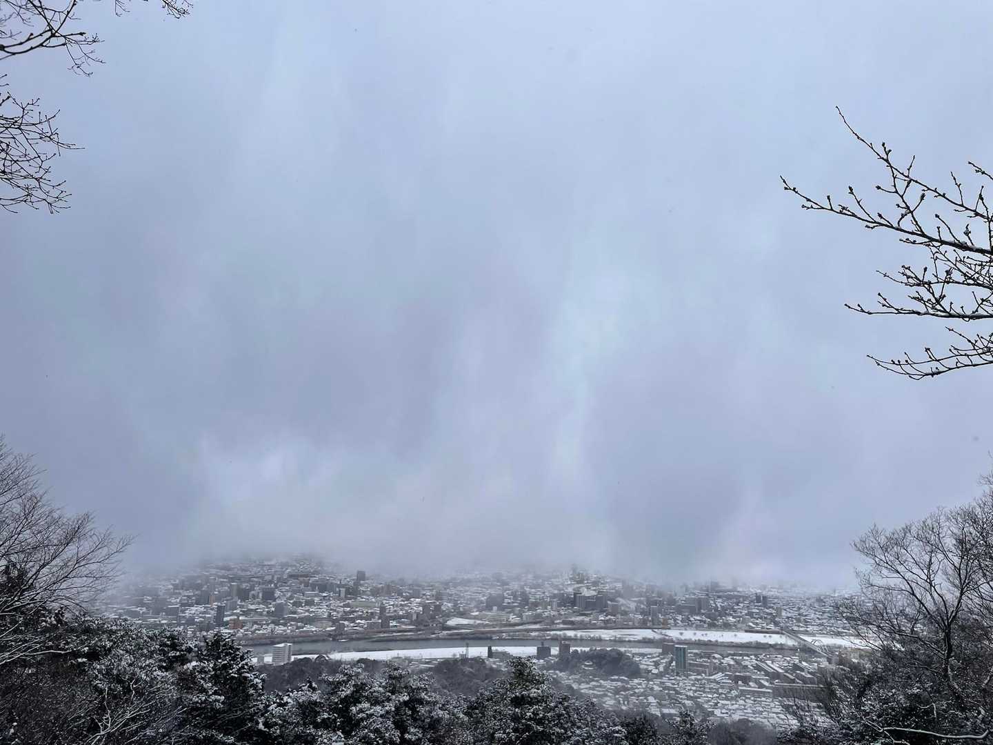 武田山方面は白い