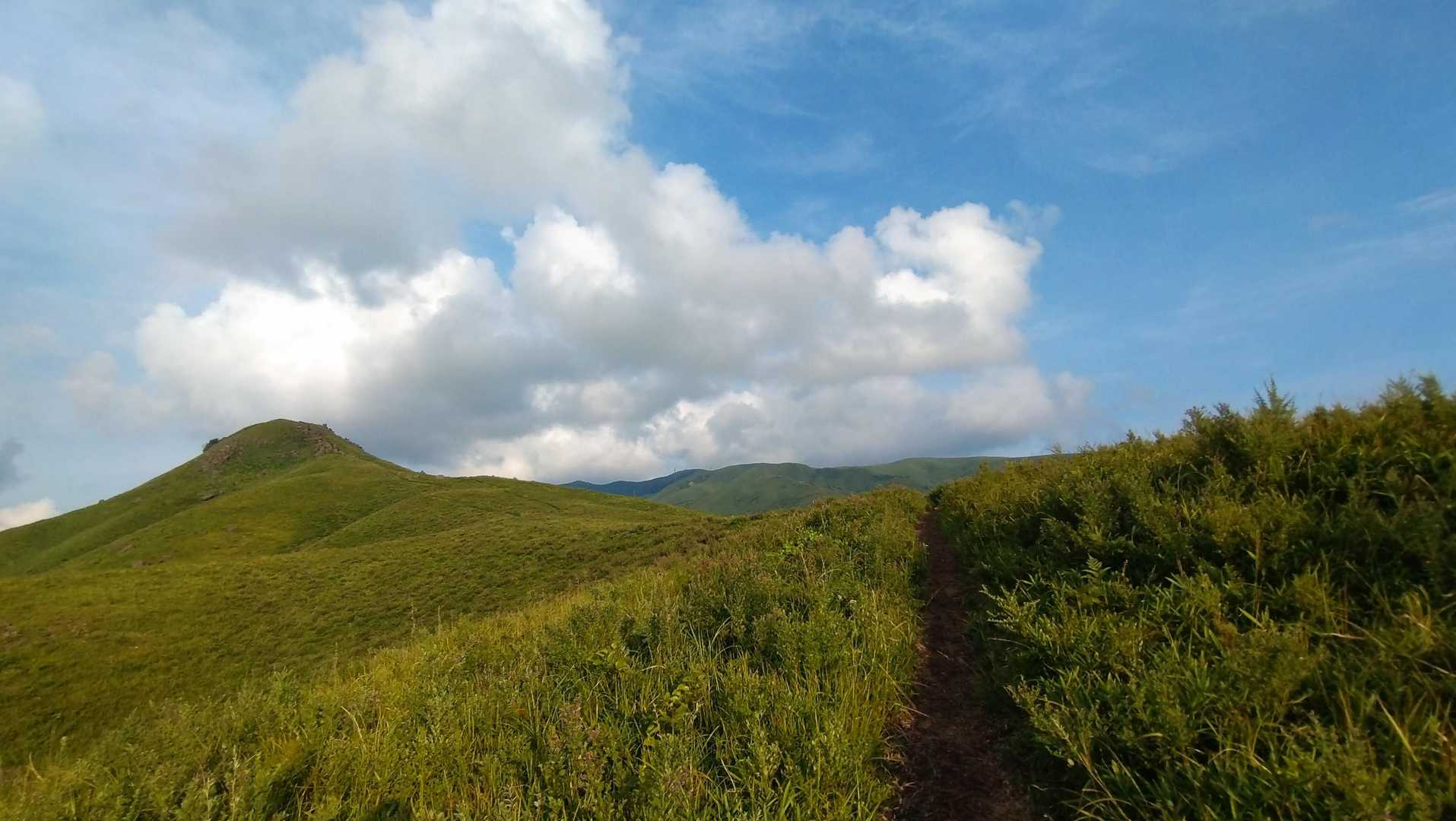 一ノ峯往復 | 広大な草原を独り占め、阿蘇の風景を楽しむ穴場コースの写真