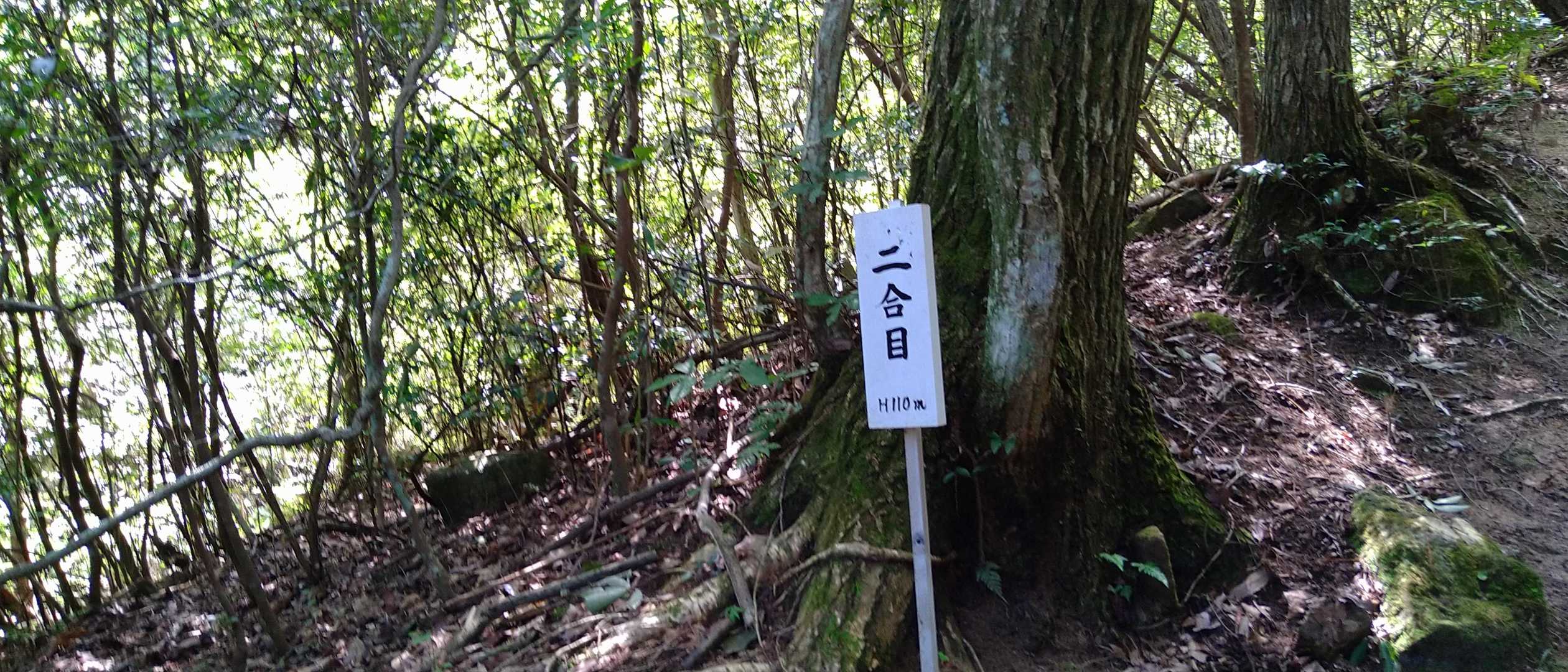 2合目、標高110m👍