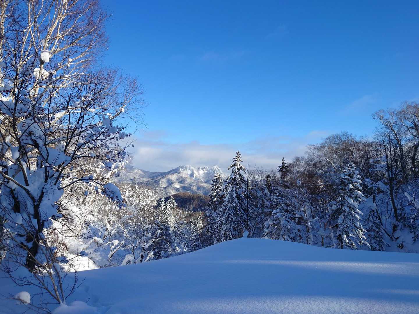 元山登山口-千尺高地 往復コースの写真
