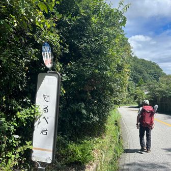 バスがあったら乗りたかったのですが、残念ながら歩きます🚶‍♀️  時間があわず😥
🚗に気をつけて道路端を歩きます