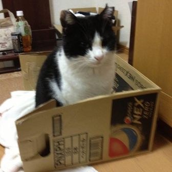 ゆのちゃんまん