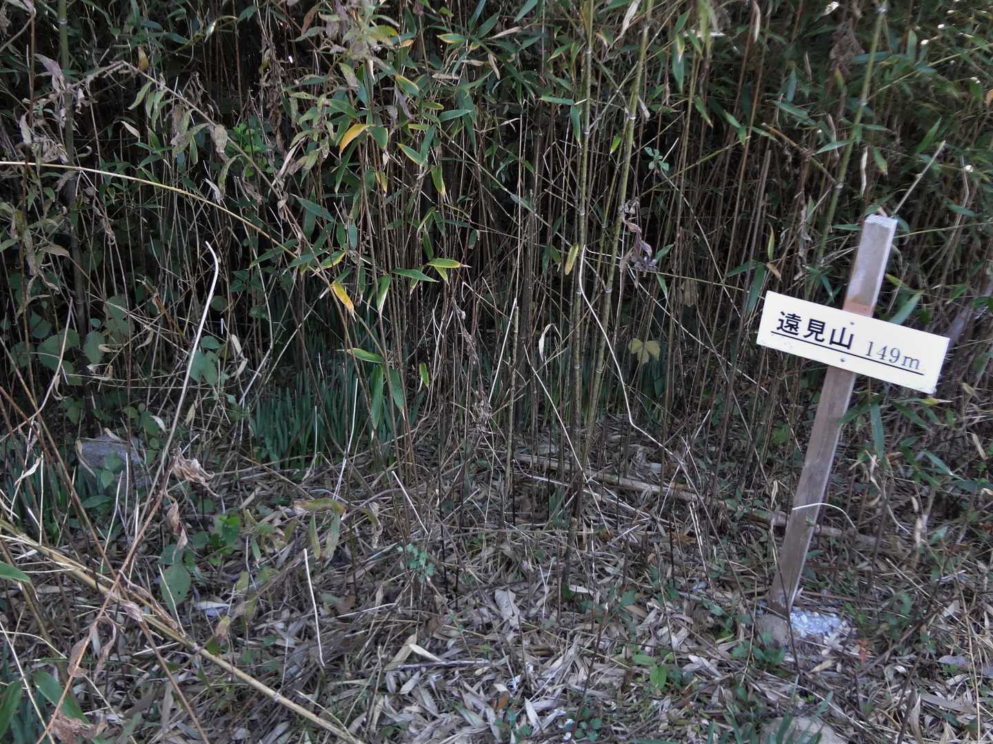 遠見岳 標高 149.3m、四等三角点(基準点名：沖之島)。左端に三角点が写ってます😓
