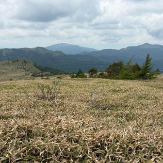 鷲ヶ峰・三峰山方面
