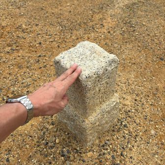 儀式✋。ここって山城跡（貝吹山城）でもあります。三好長慶の弟、三好実休の戦没地なのだそうです。
