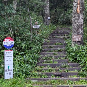 沼山峠から振り返りました🦵
（２年前にモーメントにアップした画角）