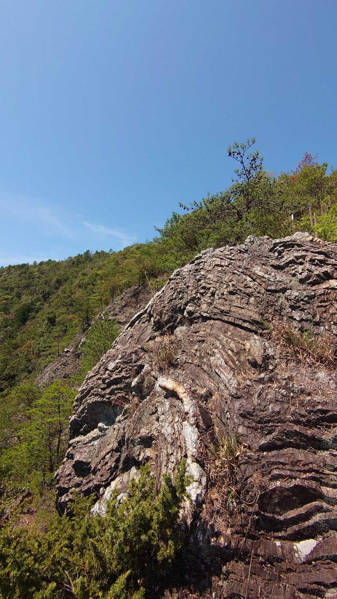 みのかも健康の森登山口-高木山登山口-高木山-富士山 周回コースの写真
