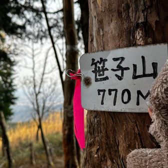 きたー！
3つ目！
あとひとつ取る予定でしたが
やめました(笑)