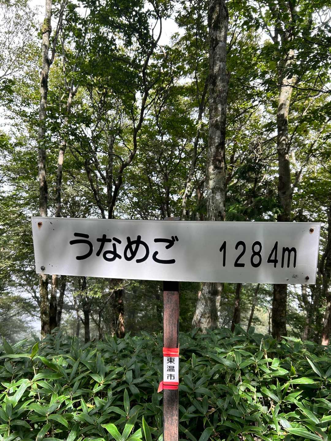 うなめご。変な名前😊少し陽がさしてきましたね✨