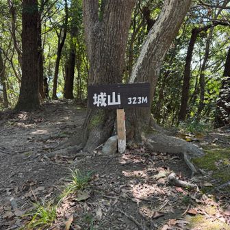 城山▲山頂
ってアレ…山頂標識、引っ越した？？🤔