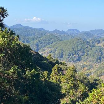 山頂からの景色