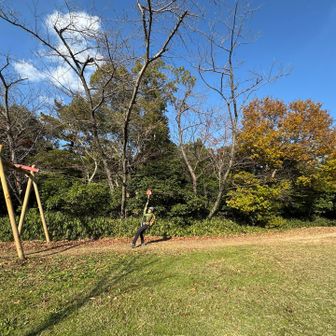 ターザンロープをやるも…自分の体重の重さを痛感🐷💦