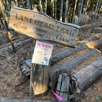 ここから厳しい下りが続きますが非常に歩きやすいと思います。