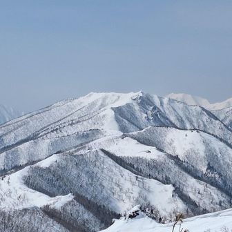 石狩とユニ石狩だそうです。