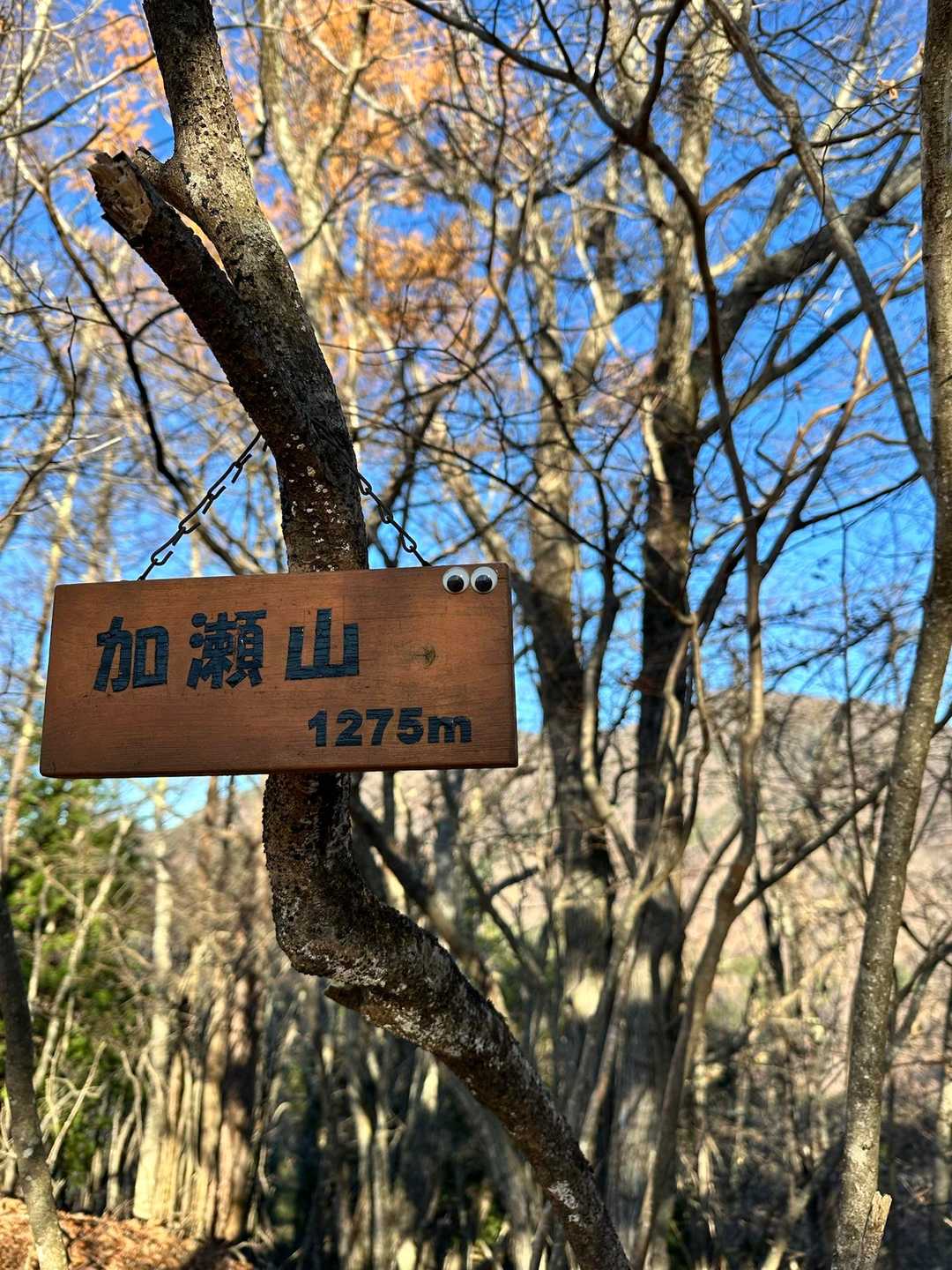 富士忍野高原トレイルレース（ショート）の写真