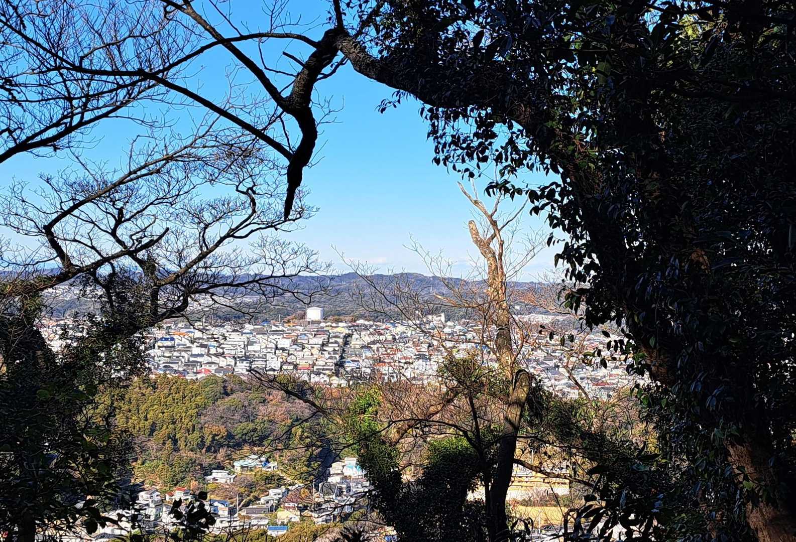 麓に街がある広大な三浦アルプス⛰️
葉山の街を眺めます❇️