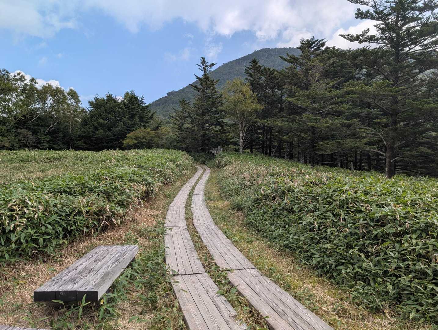 光徳駐車場から車道を歩くと思っていたのですが、道があるのをYAMAPの地図で初めて知りました😅