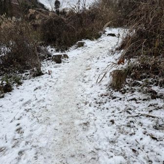 結構残ってる！！