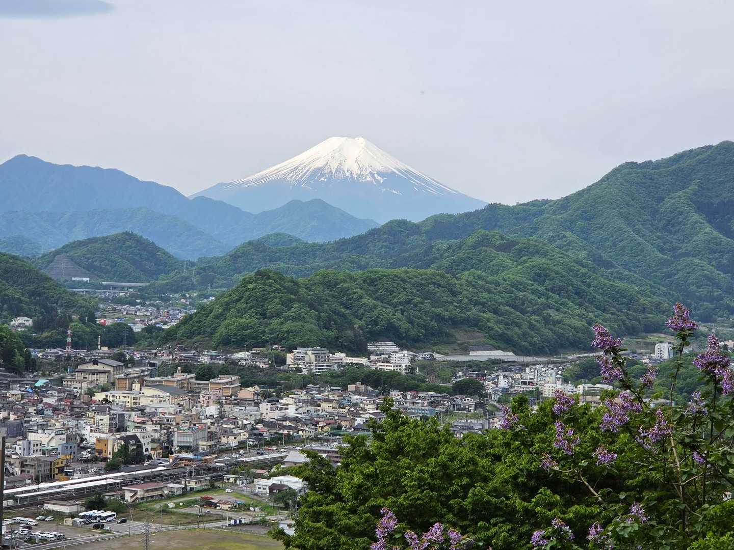 見晴らしの良い所から富士山。キリの花が咲いていました。
トラバースが終わると急坂になります。