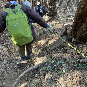 かなりの急坂。