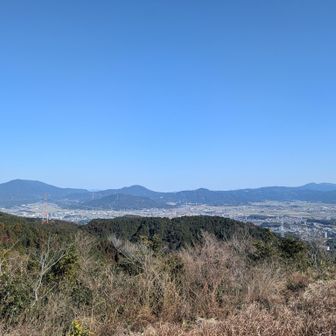 空気が澄んで綺麗だ