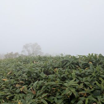 どこを見てもマッチロケ～～