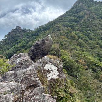 この写真は...背中かしら？定かでない😓