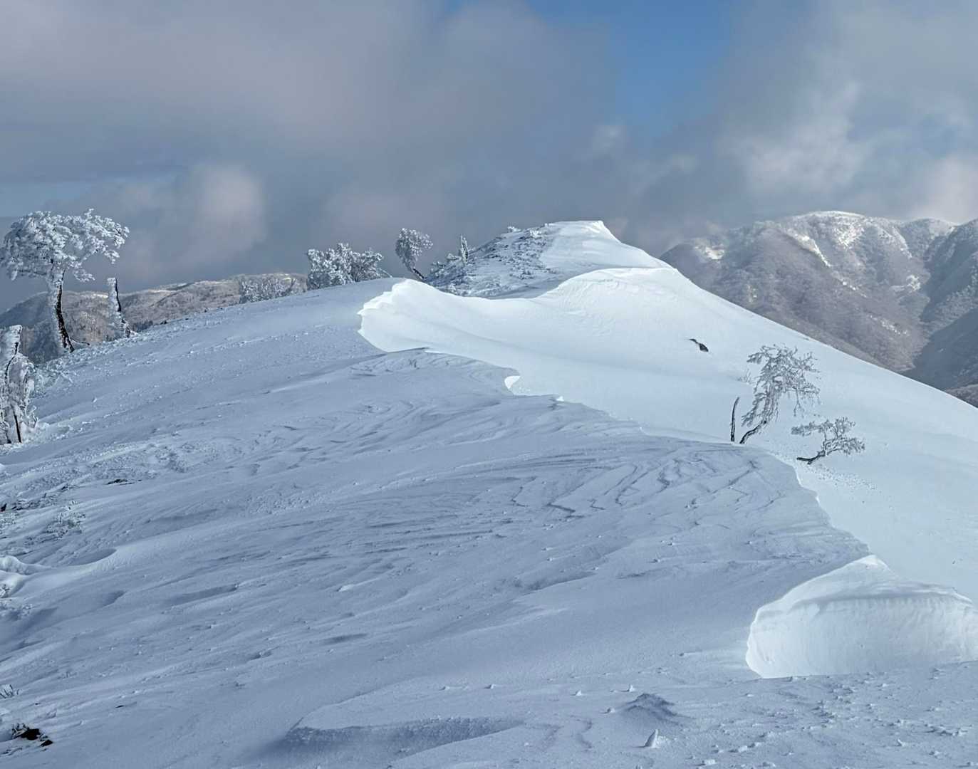 竜王山登山口-竜王山-綿向山 往復コースの写真