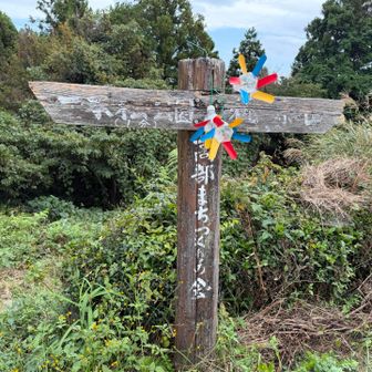 上り終えました
帆掛山に行ったあと梶原山に向かいます