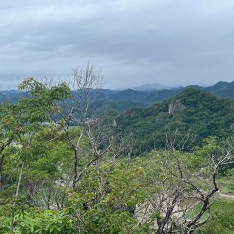 かなり空が曇っています。雨が降りそうな感じです。