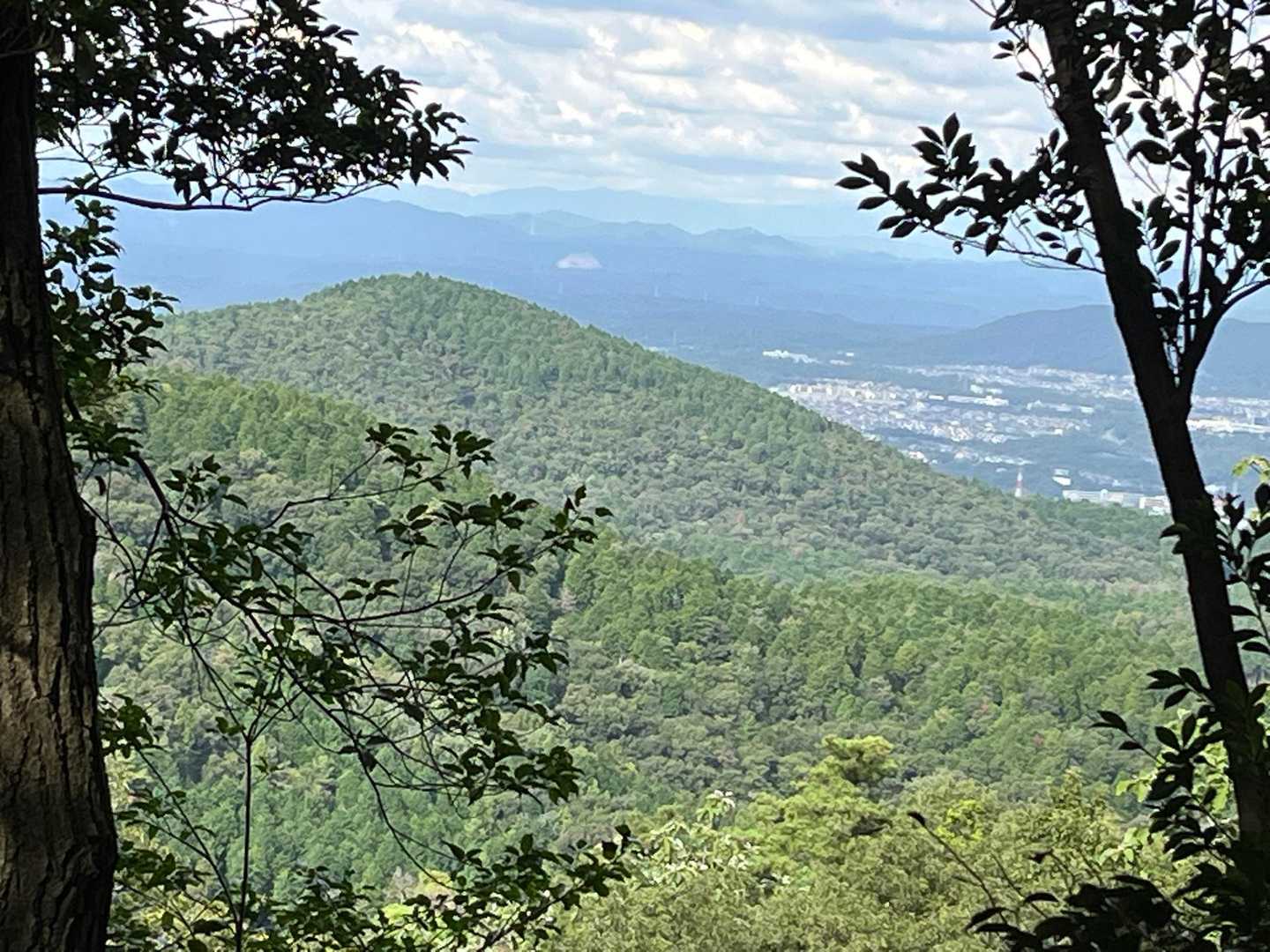 道樹山登山口-道樹山-大谷山 往復コースの写真