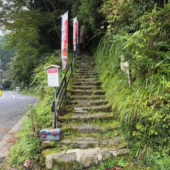 入り口はこちらから。