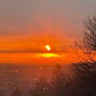 オレンジに包まれる名古屋ビル群🌇