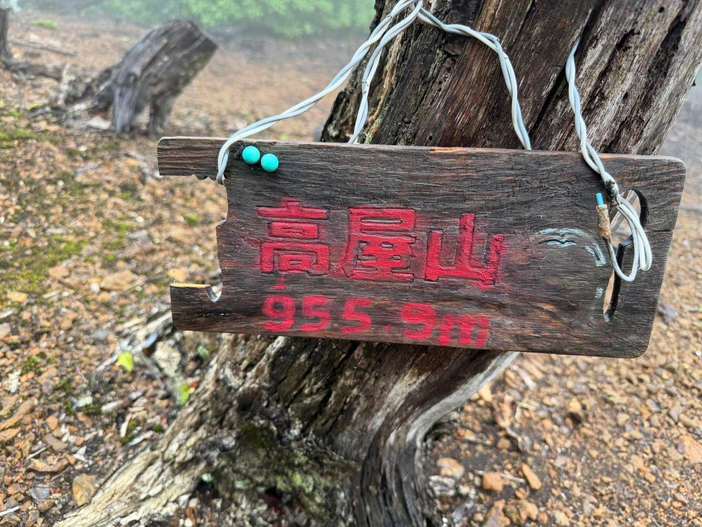 高屋山到着
本日の1座目⛰️