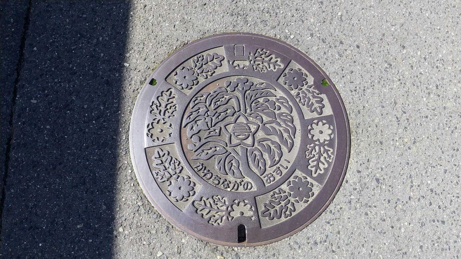河内長野市マンホール