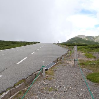 暫く舗装道を歩きます。