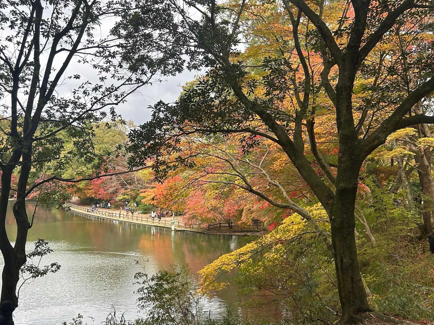 新神戸駅-滝山城跡登山口-城山-再度山-再度越 周回コースの写真